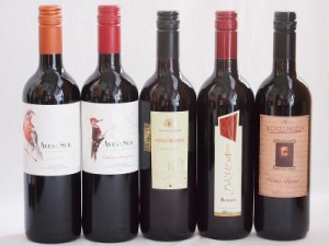 イタリア×チリ赤ワイン5本セット(コルテ デル ニッピオ ロッソ ブルーサ ロッソ ミケランジャロ ロッソ デルスールカベルネ デルスール