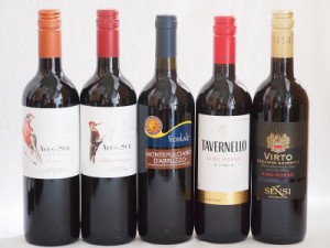 イタリア×チリ赤ワイン5本セット(デルスールカベルネ モンテプルチアーノ ダブルッツオ センシィヴィルトロッソ タヴェルネッロ ロッソ 