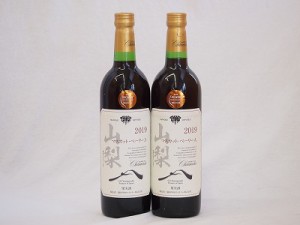 山梨県産マスカット・ベーリー2本セットA赤ワイン(中重口)750ml×2