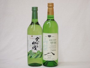 山梨県産100％ワイン2本セット(実りの収穫 勝沼ワインバレー仕込み 甘口白ワイン 山梨県産甲州種ぶどう白ワイン(やわらかな辛口))720ml×