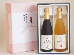 遅れてごめんね♪父の日感謝の贈物ボックス ワイン蔵のジュース2本セット(信州ぶどうコンコード果汁100% 信州りんご果汁100%) 710ml×2本