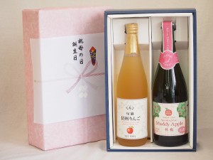 父の日 感謝贈り物ボックス 林檎2本セット(信州りんご果汁100% 青森県産りんご100%マディアップルセミスイートやや甘口Alc3%) 710ml×1本