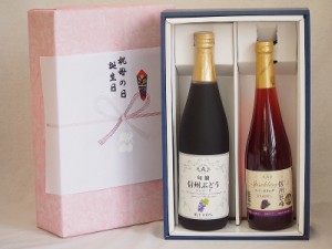 遅れてごめんね♪父の日感謝の贈物ボックス 林檎2本セット(信州ぶどうコンコード果汁100% 信州産100%巨峰スパークリング) 710ml×1本 500