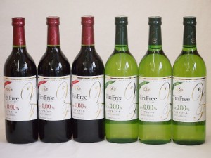 ノンアルコールワイン6本セット(ヴァンフリーノンアルコール白ワイン ヴァンフリーノンアルコール赤ワイン) 720ml×6本