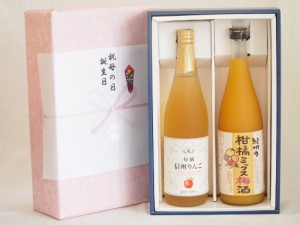 父の日 感謝贈り物ボックス 果汁100％ジュースと果物梅酒2本セット(信州りんご果汁100% 5種の和歌山県産柑橘ミックス梅酒) 710ml×1本 72