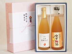 父の日 感謝贈り物ボックス 果汁100％ジュースと果物梅酒2本セット(信州りんご果汁100% ぷかぷか柚子の香りゆず梅酒) 710ml×1本 720ml×