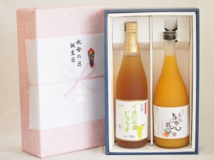 遅れてごめんね♪父の日 感謝贈り物ボックス 果汁100％ジュースと果物梅酒2本セット(有機ナイアガラぶどう果汁100％ 有田完熟みかん梅酒)