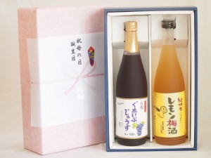 遅れてごめんね♪父の日 感謝贈り物ボックス 果汁100％ジュースと果物梅酒2本セット(有機コンコードぶどう果汁100％ 和歌山県産レモン梅