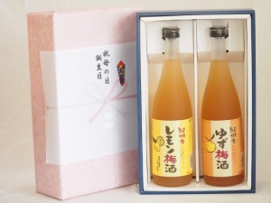 遅れてごめんね♪父の日感謝の贈物ボックス 果物梅酒2本セット(和歌山県産レモン梅酒 ぷかぷか柚子の香りゆず梅酒) 720ml×2本