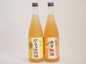 果物梅酒2本セット(ぷかぷか柚子の香りゆず梅酒 沖縄県産パイナップル梅酒) 720ml×2本