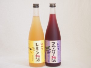 果物梅酒2本セット(岩手県産ブルーベリー梅酒 和歌山県産レモン梅酒) 720ml×2本