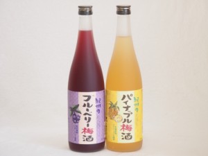 果物梅酒2本セット(岩手県産ブルーベリー梅酒 沖縄県産パイナップル梅酒) 720ml×2本