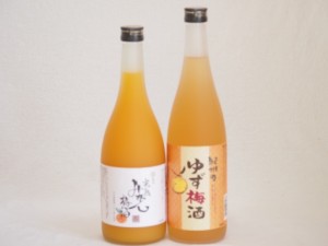 果物梅酒2本セット(ぷかぷか柚子の香りゆず梅酒 有田完熟みかん梅酒) 720ml×2本