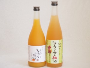 果物梅酒2本セット(国産シークァーサー梅酒 有田完熟みかん梅酒) 720ml×2本
