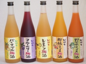 果物梅酒5本セット(岩手県産ブルーベリー梅酒 5種の和歌山県産柑橘ミックス梅酒 和歌山県産レモン梅酒 ７種の国産野菜ミックス梅酒 沖縄