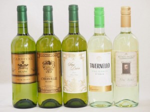 フランス×イタリア白ワイン5本セット(ミケランジャロ ビアンコ(イタリア) サンディヴァン ブラン(フランス) シャルヴィーユ ブラン(フラ
