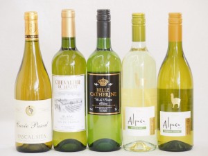 フランス×チリ白ワイン5本セット(アルパカ シャルドネ・セミヨン(チリ) アルパカ ソーヴィニヨン・ブラン(チリ) ベル キャサリン ブラン