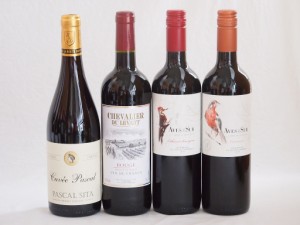 フランス×チリ赤ワイン4本セット(デルスールカベルネ(チリ) デルスールカルメネール(チリ) シュバリエ・デュ・ルヴァン ルージュ(フラン