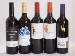 スペイン×チリ赤ワイン デルスールカベルネ(チリ) デルスールカルメネール(チリ) アルパカカルメネール(チリ)) 750ml5本セット(ヴァンド