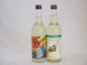 本格酎ハイの素2本セット(サワー専用 爆レモン レモンチュウハイの素 富士白) 600ml×2本