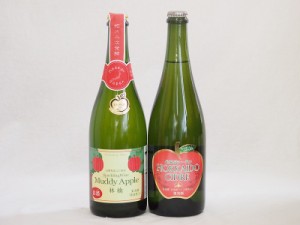 ワイナリーより国産シードル2本セット(余市産りんご北海道シードル アップルドライ辛口) 750ml×2本