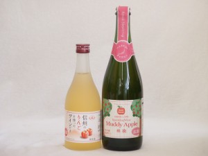 国産りんご酒2本セット(セミスイートアップル(やや甘口) 信州のりんごワイン) 750ml×1本 500ml×1本