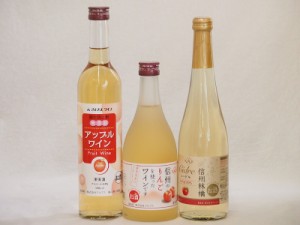 りんご酒3本セット(信州林檎シードル アップルワイン 信州のりんごワイン) 500ml×3本