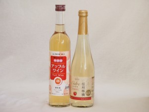 りんごワイン2本セット(信州林檎シードル アップルワイン) 500ml×2本