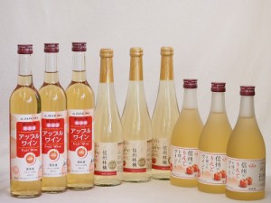 りんごワイン9本セット(信州林檎シードル アップルワイン 信州のりんごワイン) 500ml×9本