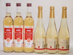 りんごワイン6本セット(信州林檎シードル アップルワイン) 500ml×6本