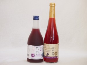 巨峰特集2本セット(信州の巨峰を使ったワインalc.4% スパークリング信州巨峰) 500ml×2本