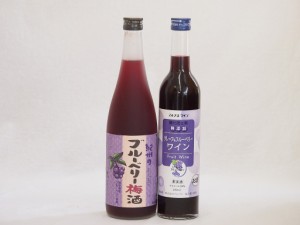 リキュール特集2本セット(グレープ&ブルーベリーワイン 紀州ブルーベリー梅酒) 500ml×1本 720ml×1本