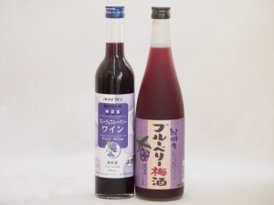 リキュール特集2本セット(グレープ&ブルーベリーワイン 紀州ブルーベリー梅酒) 500ml×1本 720ml×1本