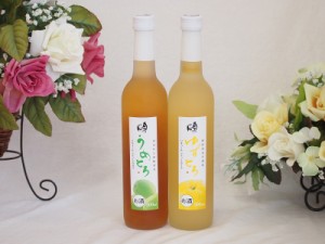 トロリとしたとろとろ2本セット(国産梅のうめとろ 国産ゆずのゆずとろ) 500ml×2本