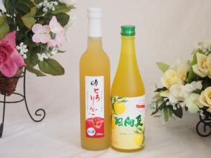 果実リキュール2本セット(国産林檎のとろりんご 宮崎県日向夏) 500ml×2本