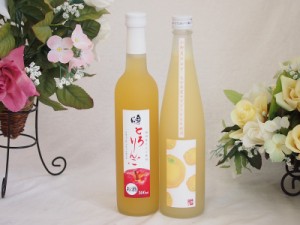 果実リキュール2本セット(国産林檎のとろりんご 大分県産小野屋のゆず) 500ml×2本