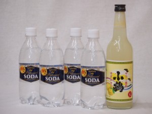 家のみ本格酎ハイ5本セット(サントリーソーダ 強炭酸水ペット 小鶴 サワー専用ゆずレモン 25度) 490ml×4本 600ml×1本