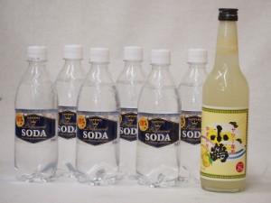 家のみ本格酎ハイ7本セット(サントリーソーダ 強炭酸水ペット 小鶴 サワー専用ゆずレモン 25度) 490ml×6本 600ml×1本