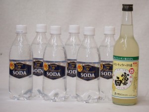 家のみ本格酎ハイ7本セット(サントリーソーダ 強炭酸水ペット 富士白レモンチューハイの素 25度) 490ml×6本 600ml×1本