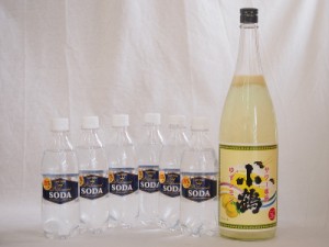 家のみ本格酎ハイ7本セット(サントリーソーダ 強炭酸水ペット 小鶴 サワー専用ゆずレモン 25度) 490ml×6本 1800ml×1本