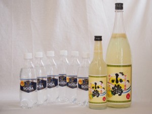 家のみ本格酎ハイ8本セット(サントリーソーダ 強炭酸水ペット 小鶴 サワー専用ゆずレモン 25度) 490ml×6本 600ml×1本 1800ml×1本