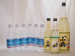 家のみ本格酎ハイ9本セット(サントリースパークリング強炭酸水ペット 小鶴 サワー専用ゆずレモン 25度 富士白レモンチューハイの素 25度)