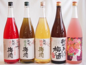 梅酒5本セット(おばあちゃんの梅酒 ローズ梅酒(愛知) 赤しそ赤い梅酒(和歌山) 蜂蜜梅酒(和歌山) 緑茶梅酒(和歌山県)) 1800ml×5本