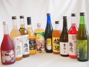 豪華梅酒10本セット(芋焼酎仕込五代梅酒(鹿児島) 宇治玉露梅酒(京都) 赤しそ赤い梅酒(和歌山) 樽熟梅酒天空の月(大分) 鍛高譚梅酒 梅酒 