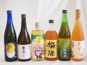 豪華梅酒6本セット(芋焼酎仕込五代梅酒(鹿児島) 宇治玉露梅酒(京都) 高千穂産梅使用熟成梅酒 樽熟梅酒天空の月(大分) 梅酒 鶯の杜(奈良) 