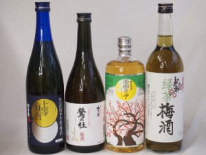 豪華梅酒4本セット(樽熟梅酒天空の月(大分) 梅酒 鶯の杜(奈良) 無添加上等梅酒(鹿児島) 緑茶梅酒(和歌山)) 720ml×4本