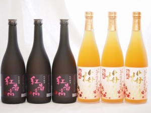 梅酒6本セット(紅南高梅酒20度(和歌山) 高千穂産梅使用熟成梅酒) 720ml×6本