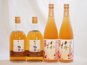 梅酒4本セット(加賀梅酒(石川県) 高千穂産梅使用熟成梅酒) 720ml×4本