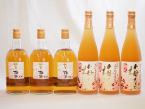 梅酒6本セット(加賀梅酒(石川県) 高千穂産梅使用熟成梅酒) 720ml×6本