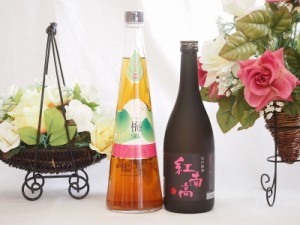 梅酒2本セット(紅南高梅酒20度(和歌山) 手作り梅酒(宮崎県)) 720ml×2本